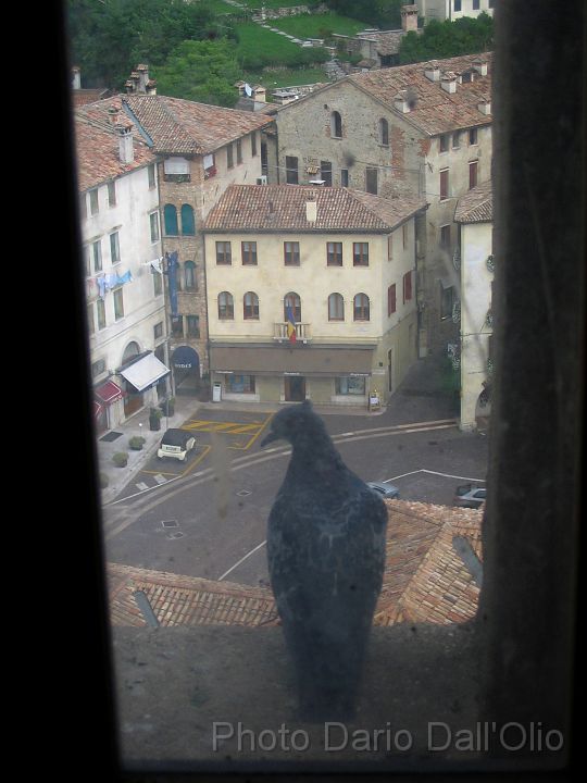 6.JPG