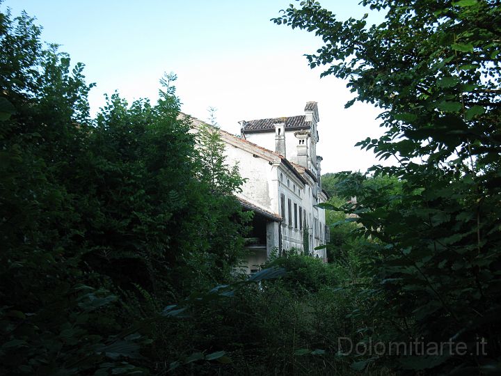 062.JPG