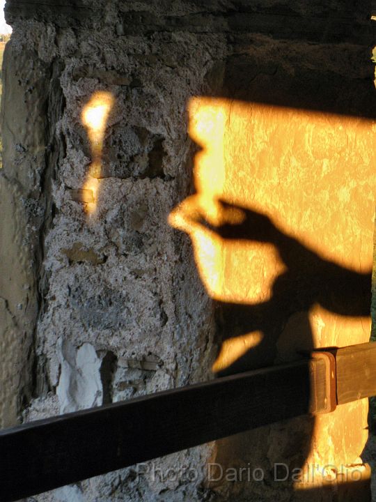 IMG_3588.JPG