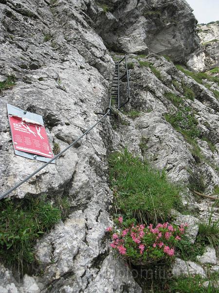 IMG_0982.jpg - Val Falcina , attacco del sentiero delle scalette verso Cimia